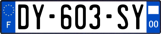 DY-603-SY