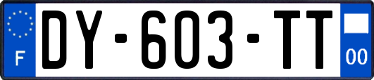 DY-603-TT