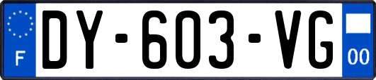 DY-603-VG