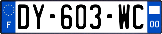 DY-603-WC