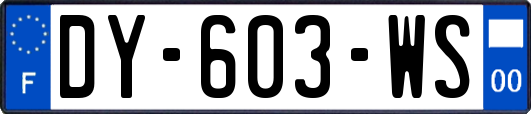 DY-603-WS