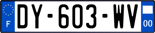 DY-603-WV