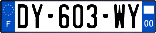 DY-603-WY