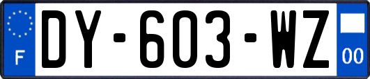 DY-603-WZ