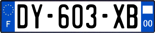 DY-603-XB