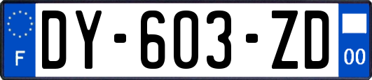 DY-603-ZD