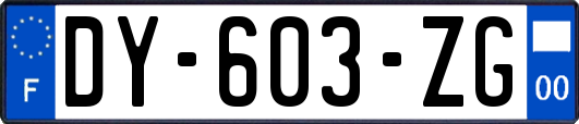 DY-603-ZG