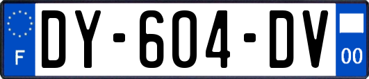 DY-604-DV