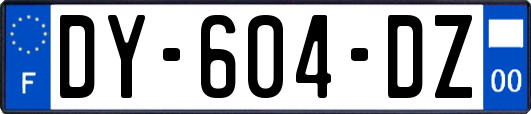 DY-604-DZ