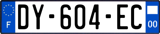 DY-604-EC