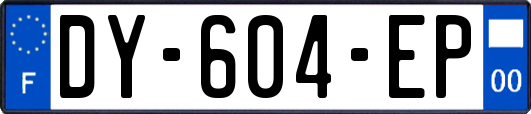 DY-604-EP