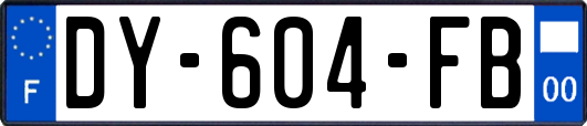 DY-604-FB