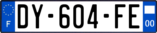 DY-604-FE