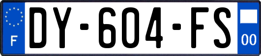 DY-604-FS