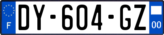 DY-604-GZ