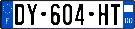 DY-604-HT