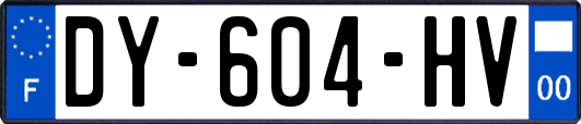 DY-604-HV