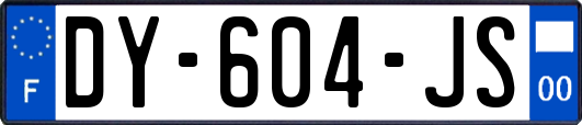 DY-604-JS