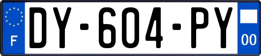 DY-604-PY