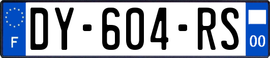 DY-604-RS