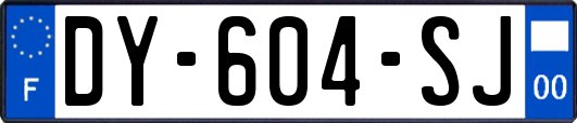 DY-604-SJ