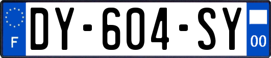 DY-604-SY