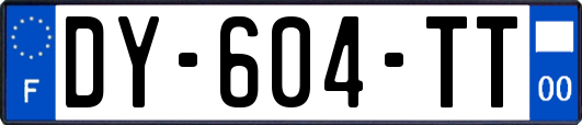 DY-604-TT