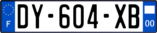 DY-604-XB