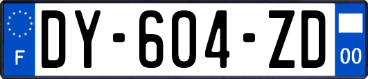 DY-604-ZD