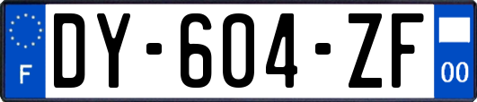 DY-604-ZF