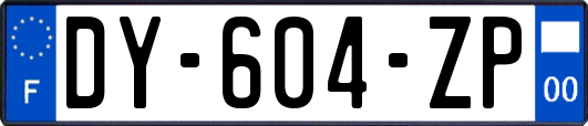 DY-604-ZP