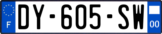 DY-605-SW