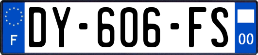 DY-606-FS