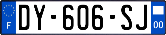 DY-606-SJ