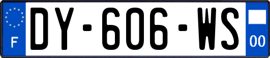 DY-606-WS