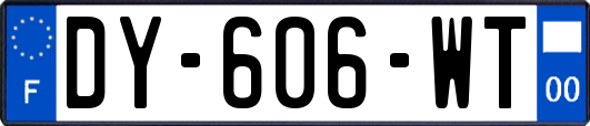 DY-606-WT