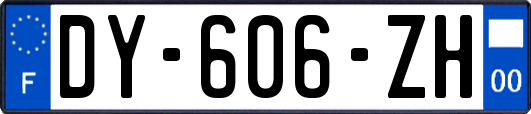 DY-606-ZH