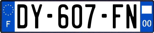 DY-607-FN