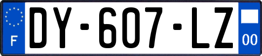 DY-607-LZ