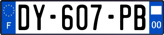 DY-607-PB