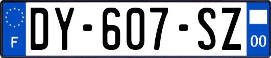 DY-607-SZ