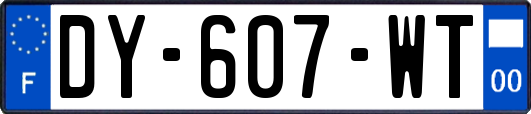 DY-607-WT