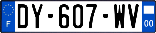 DY-607-WV