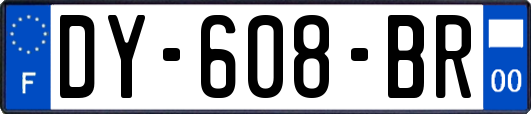 DY-608-BR