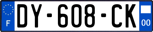 DY-608-CK