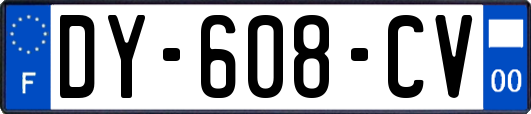 DY-608-CV