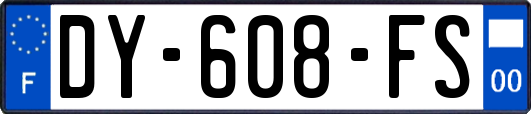 DY-608-FS