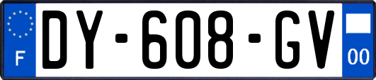 DY-608-GV