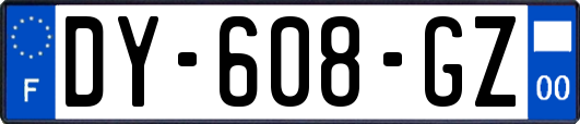 DY-608-GZ