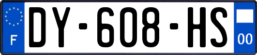 DY-608-HS